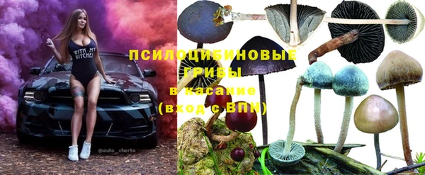 каннабис Карпинск